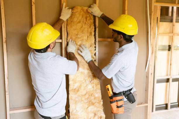 Best Insulation for New Construction  in , HI