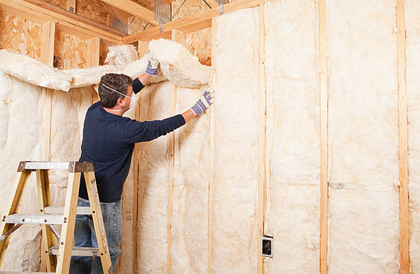  , HI Insulation Services Pros